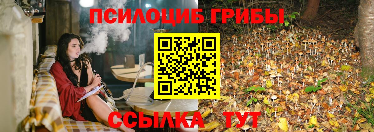 Псилоцибиновые грибы Psilocybine cubensis  Псилоцибиновые грибы прущие грибы  Вход с VPN  сколько стоит  Воркута 